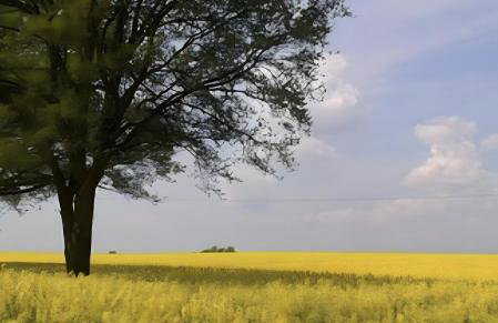 Ferienwohnung leinelume - Foto 18