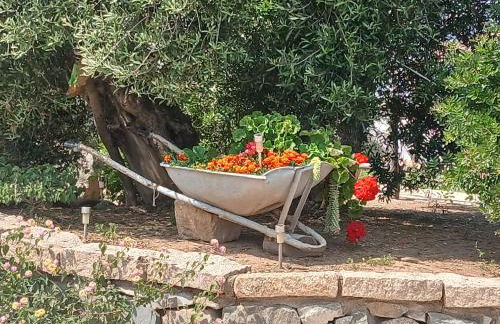 SARDEGNA "RI-ALE" a DUE PASSI DAL MARE BARI SARDO - OGLIASTRA - COD IUN Q8596 - Foto 48