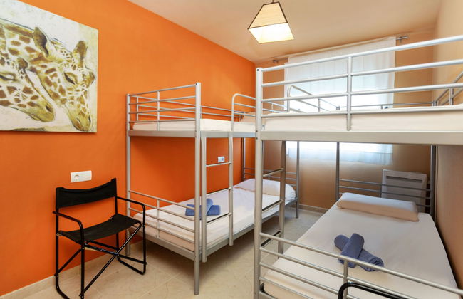 Miami Dorada II - Foto 14