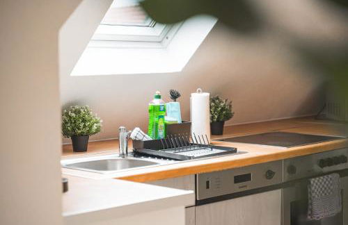 Moderne Monteurwohnungen in Nürtingen Zentrum Kitchen, Wifi, Smart TV - Photo 33