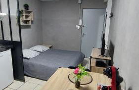 "Charmant" Studio avec balcon - Foto 9