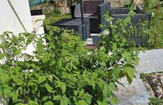 Métro - Sac à dos - Dodo Chez Léontine 2 chambres Parking Wifi - Foto 18