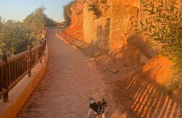 Apartament Hola Cabo Roig - Photo 26