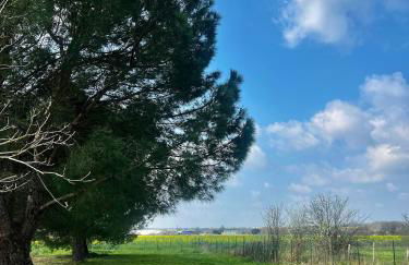 Studio Cosy - Proche MEETT 300m - Foto 12