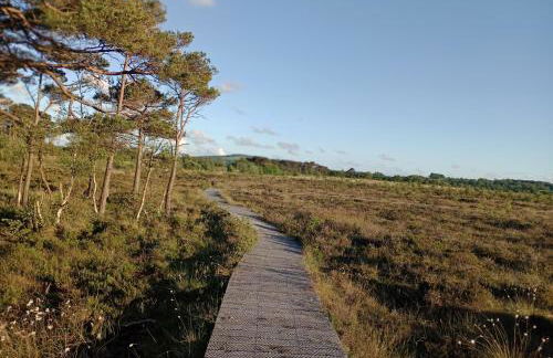 Sunnyside Farm - Foto 8