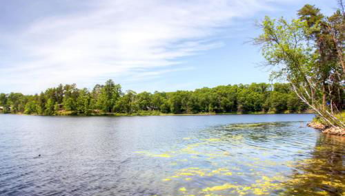 Lakefront Brainerd Cabin w Deck, Fire Pit - Photo 5