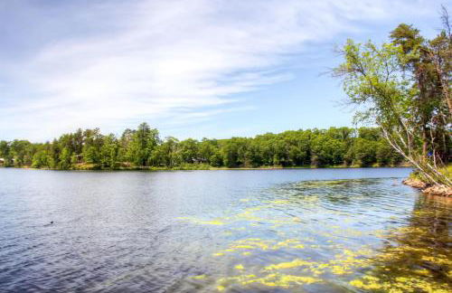 Lakefront Brainerd Cabin w Deck, Fire Pit - Photo 5