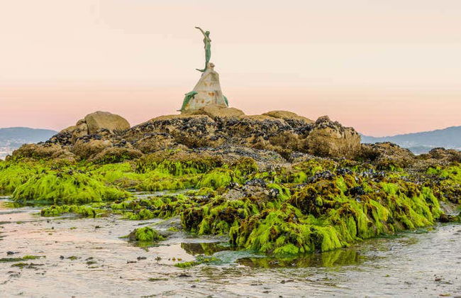 Excursión a la isla de San Simón en barco - Photo 1