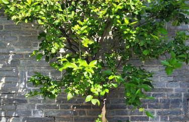 Casa Intignano - Camera con bagno e portico vista lago - Foto 19