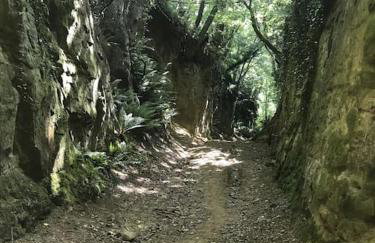Novelist Shepherd's hut - Foto 39