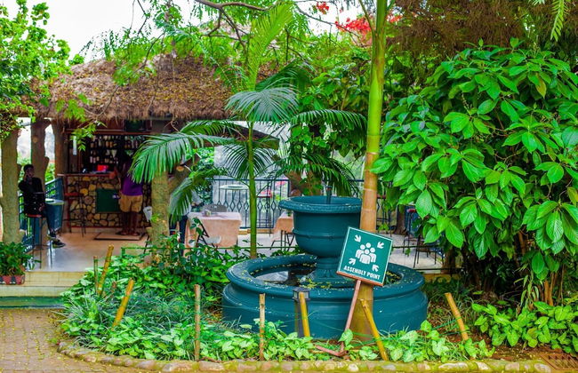 Auberge St Jean Leopold - Foto 9