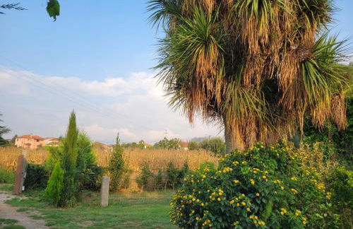 Villa Cornelia, Ponte de Lima - Foto 80