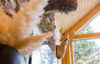 Hot Tub-Fire pit under the stars at Panguitch Lake - Foto 21