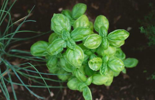 Dimore Acquasale- Sea View Houses - Photo 58