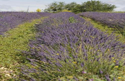 Nature & Adventure Highlights - Foto 32