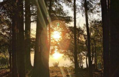 Cabana Santa Cruz - Foto 39