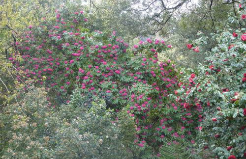 Quinta das Lamas - Antiga Adega - Foto 30