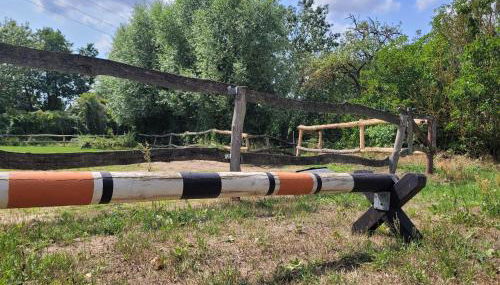 Ferienhof Schwalbennest OFC 24 - Foto 3