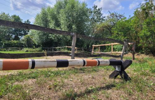 Ferienhof Schwalbennest OFC 24 - Foto 3