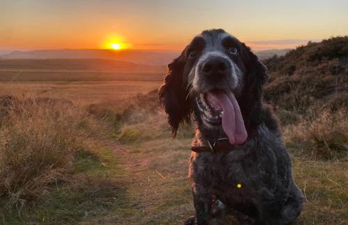Jacks Cottage, Curbar - Foto 25