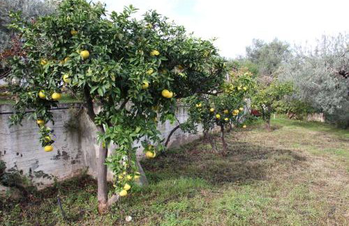 Villa Krassi - Foto 45