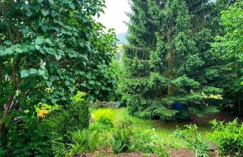 Ferienhaus Rhön-Auszeit - Foto 53