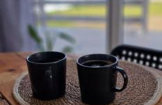 W ładnym polu n1 - Foto 21