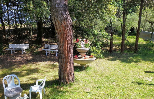 Da Tilli alla Fornace - Foto 21