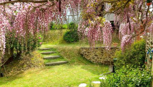 Gai Séjour - Foto 5, Garden