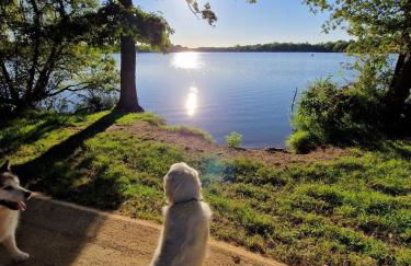 Villa Pool Lake Beache City - Foto 7