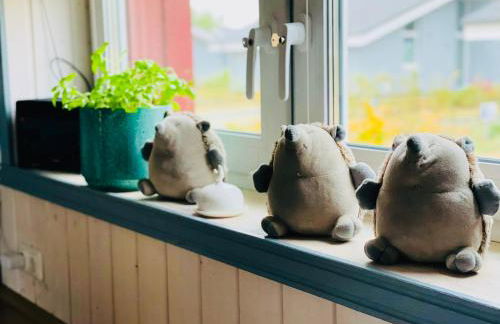 Seeschwalbe Classic 306 - Foto 9