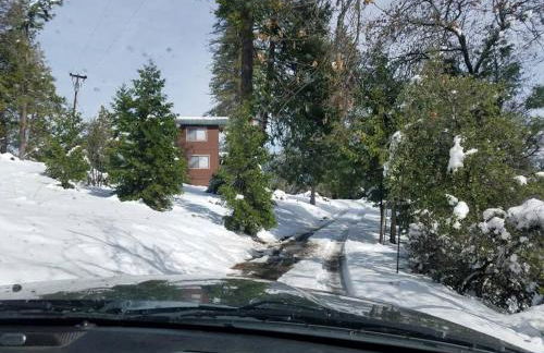 Uncle Grizz's Cabin...get intouch with nature - Foto 33