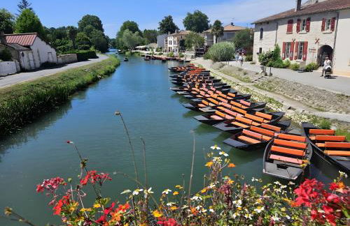 Gite La Marguerite À La Campagne - Foto 28