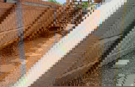 Fish Crazy House - Photo 54