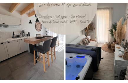 Cocon Classé 3 Etoiles - Love et Détente - SPA - Foto 77