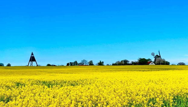 4 Person Holiday Home in Svaneke - Foto 5, Golf