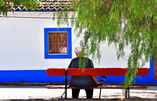 Monte Casa Branca - Foto 63