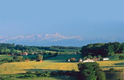 Franzenhof Markhart - Photo 47