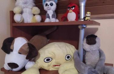 Agroturystyka u Psotki - Foto 31