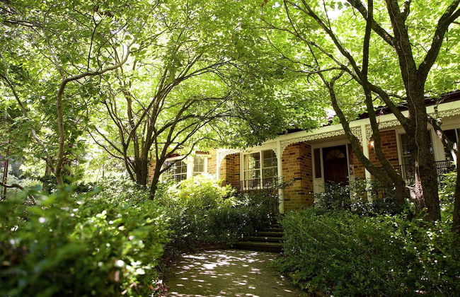 Leura Camellias - Photo 1