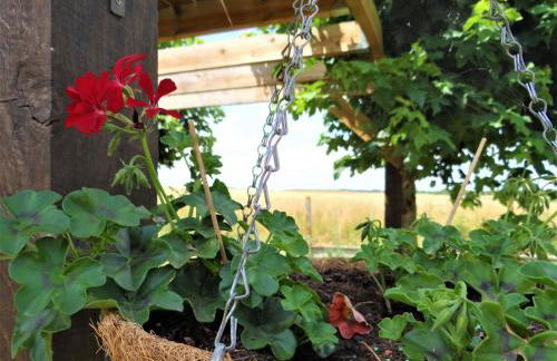 Le Lavoir Secret - hébergement atypique dans un joli cadre bucolique - Foto 29