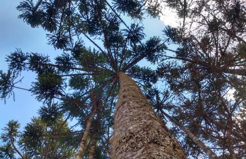 Sopro da Serra Chalés - Foto 53