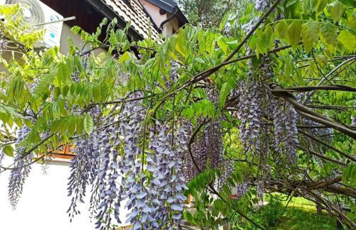 Apartment Übernachtung für einen unvergesslichen Besuch der Plitvicer Seen by Interhome - Foto 6