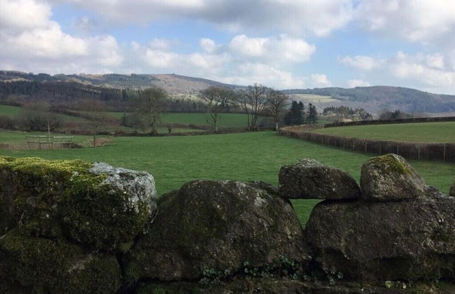 The Stables - Stokeinteignhead - Foto 13