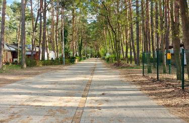 Leśna Ostoja w centrum Puszczy Nadnoteckiej otoczona 3 jeziorami - Foto 18