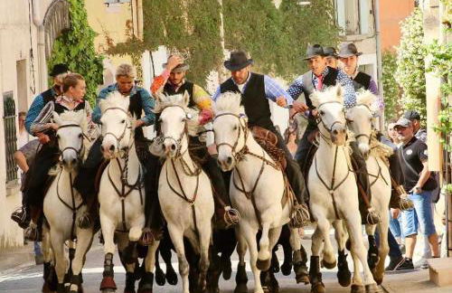 La Maison du Trident en Camargue Piscine et Jacuzzi - Foto 65
