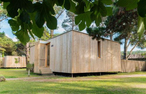 Cabanas Narea - Foto 4