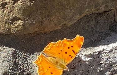 Vrisaki 81400, Lemnos Island - Foto 49