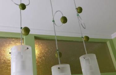 3 Äpfel Design Apartments - Foto 48