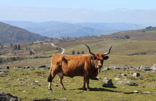 Casa do Azevim - Foto 73